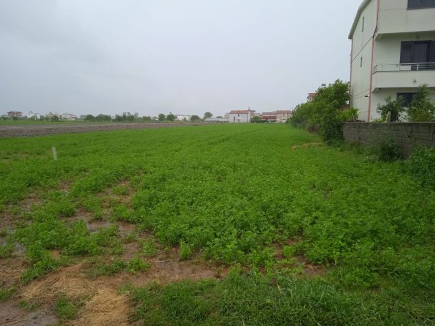 terreno agricolo in vendita a Tirano