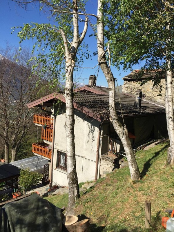 appartamento in vendita a Traona