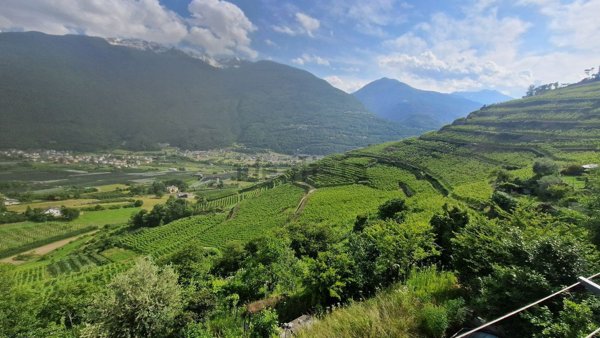 appartamento in vendita a Tresivio in zona Piedo