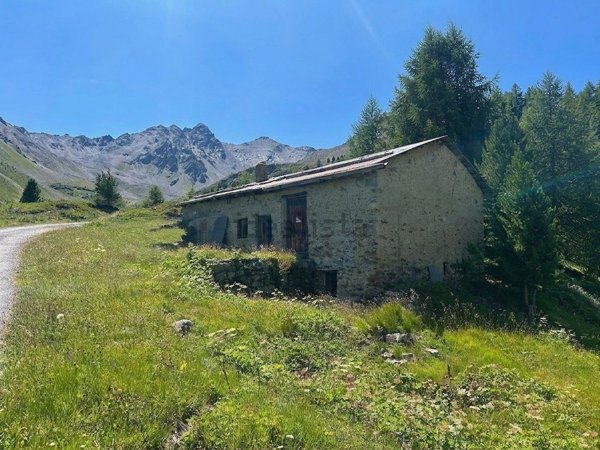 pentavano in vendita a Valdidentro