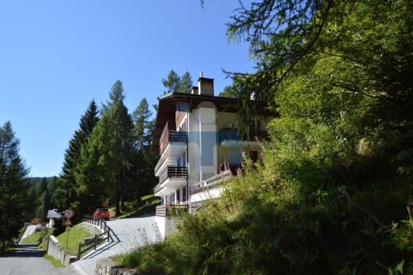 appartamento in vendita a Valdisotto in zona Oga