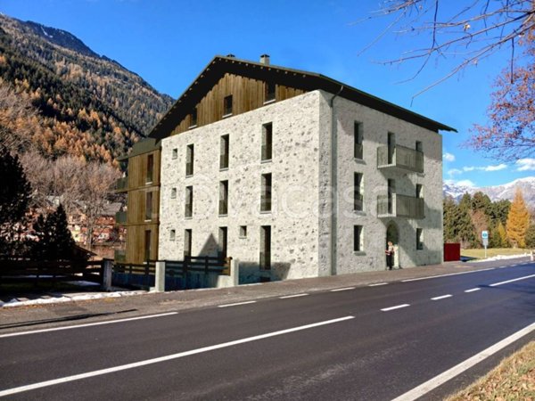 appartamento in vendita a Valdisotto in zona Cepina