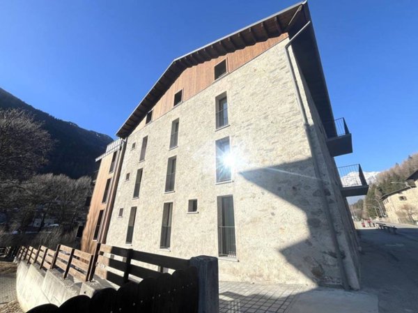 appartamento in vendita a Valdisotto in zona Cepina