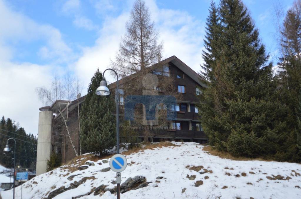 immagine annuncio 0 di 1