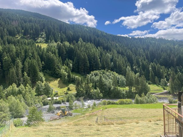 appartamento in vendita a Valfurva