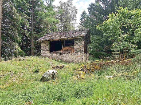 casa indipendente in vendita a Villa di Chiavenna
