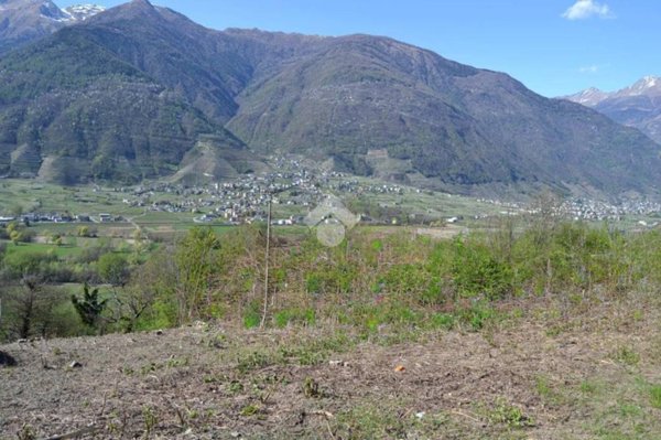 terreno agricolo in vendita a Villa di Tirano in zona Motta