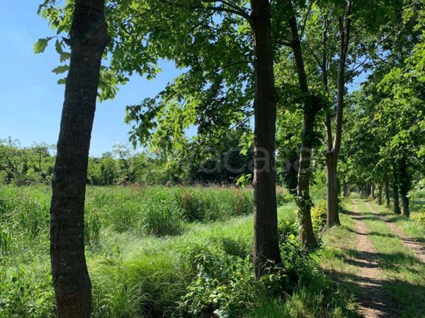 azienda agricola in vendita ad Abbiategrasso