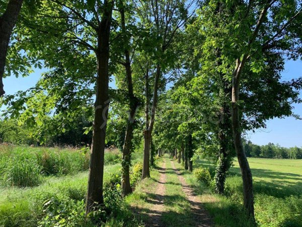 azienda agricola in vendita ad Abbiategrasso
