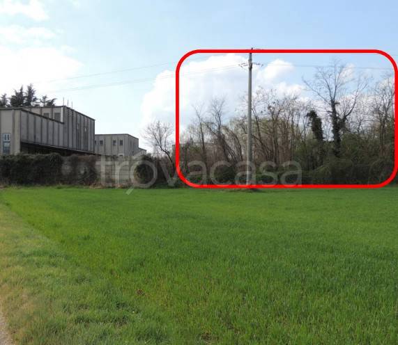 terreno agricolo in vendita ad Abbiategrasso in zona Castelletto