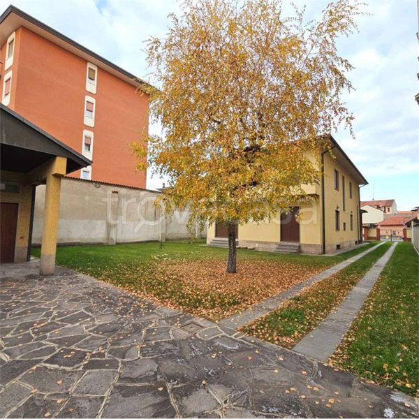 immagine annuncio 0 di 1