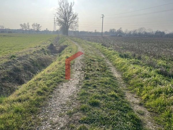 terreno agricolo in vendita ad Albairate