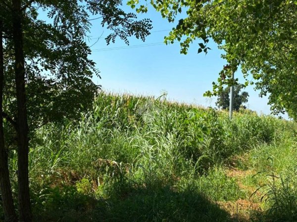 terreno agricolo in vendita ad Albairate in zona Rosio