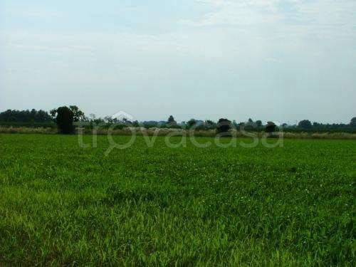terreno agricolo in vendita ad Arconate