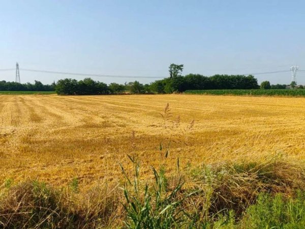 terreno agricolo in vendita ad Arconate