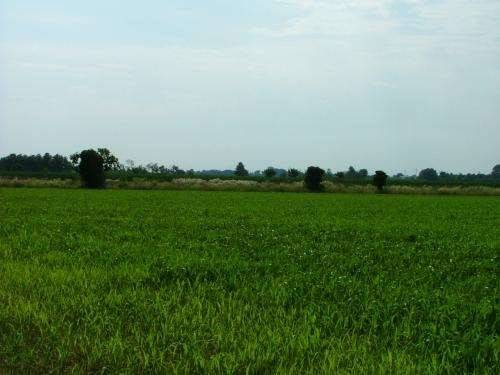 terreno agricolo in vendita ad Arconate