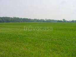 terreno agricolo in vendita ad Arconate