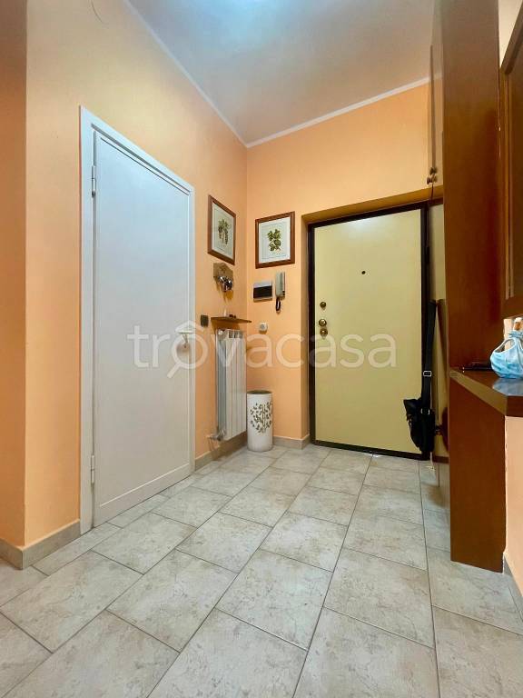 immagine annuncio 0 di 15
