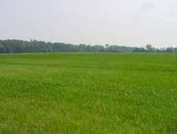 terreno in vendita ad Arconate