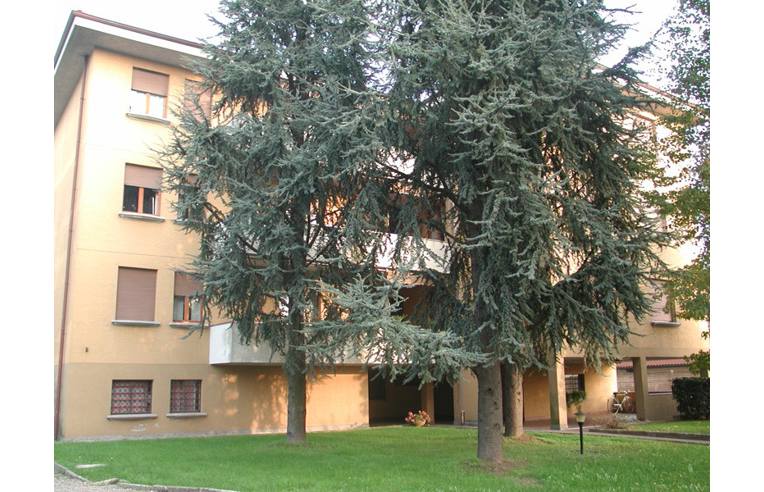 appartamento in vendita ad Arluno in zona Rogorotto