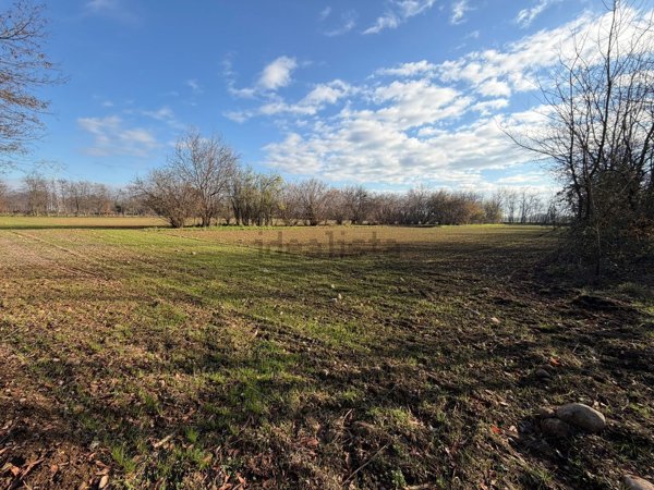 terreno agricolo in vendita ad Arluno
