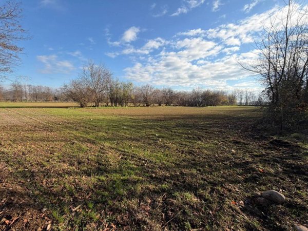 terreno agricolo in vendita ad Arluno