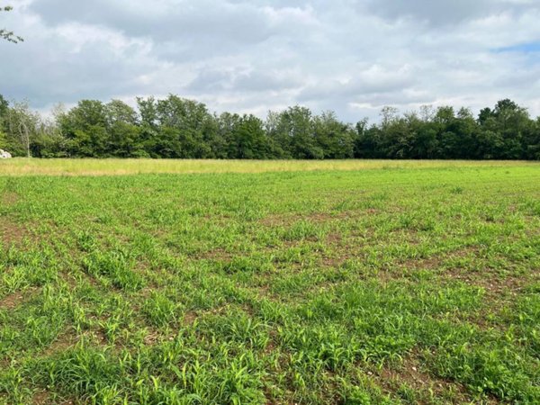terreno agricolo in vendita ad Arluno