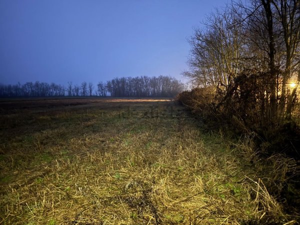 terreno agricolo in vendita ad Arluno