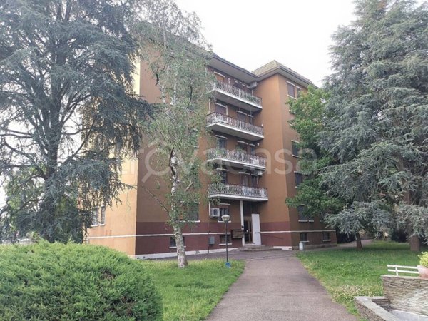 appartamento in vendita a Bareggio