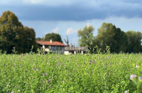 pentavano in vendita a Bareggio