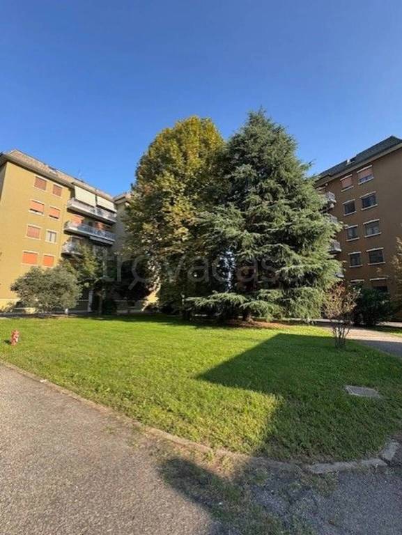 appartamento in vendita a Bareggio