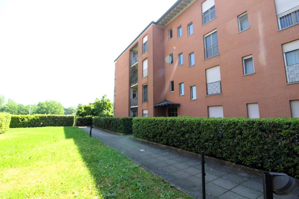 appartamento in vendita a Bareggio