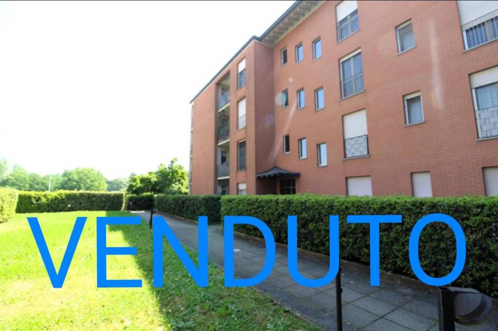 appartamento in vendita a Bareggio