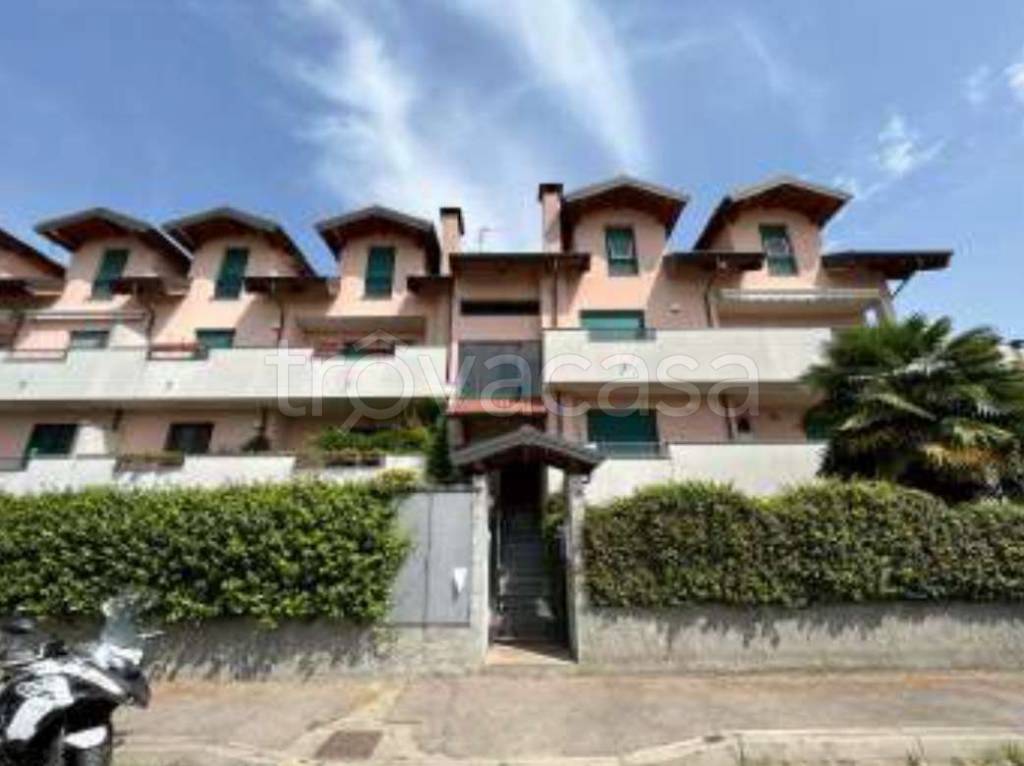 appartamento in vendita a Bareggio