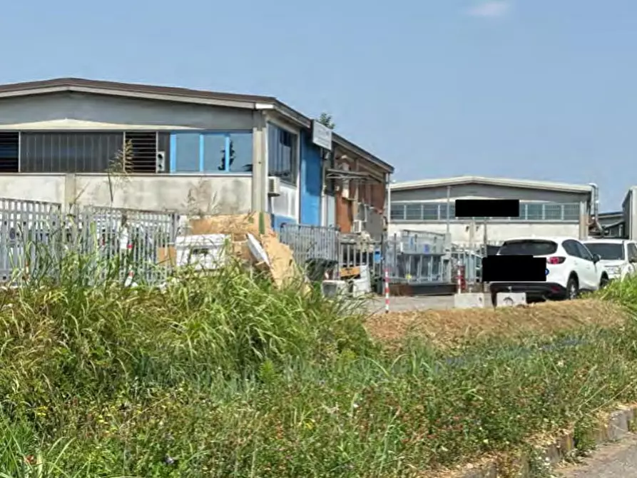 immagine annuncio 0 di 1