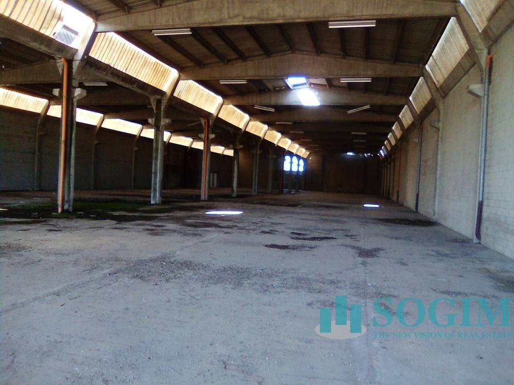 terreno edificabile in vendita a Bareggio