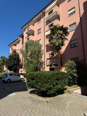 appartamento in vendita a Bareggio