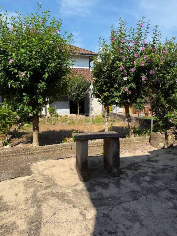 casa indipendente in vendita a Basiglio