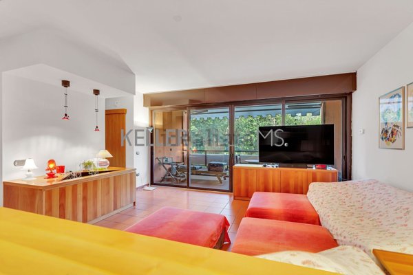 immagine annuncio 0 di 1