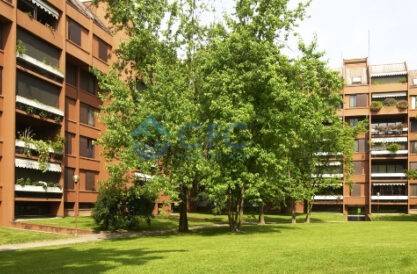 appartamento in vendita a Basiglio