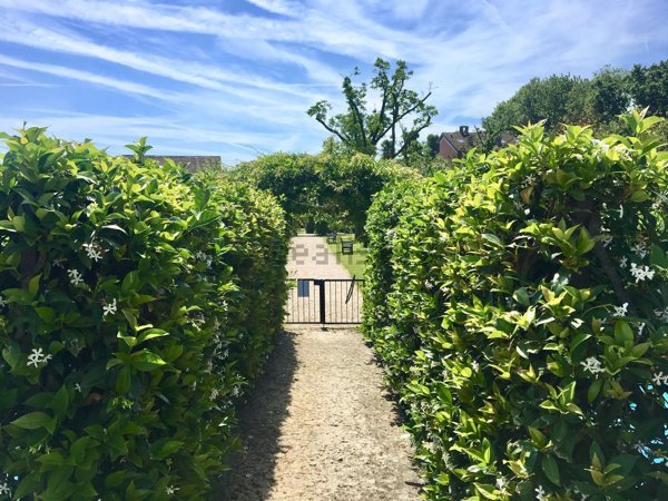 appartamento in vendita a Basiglio