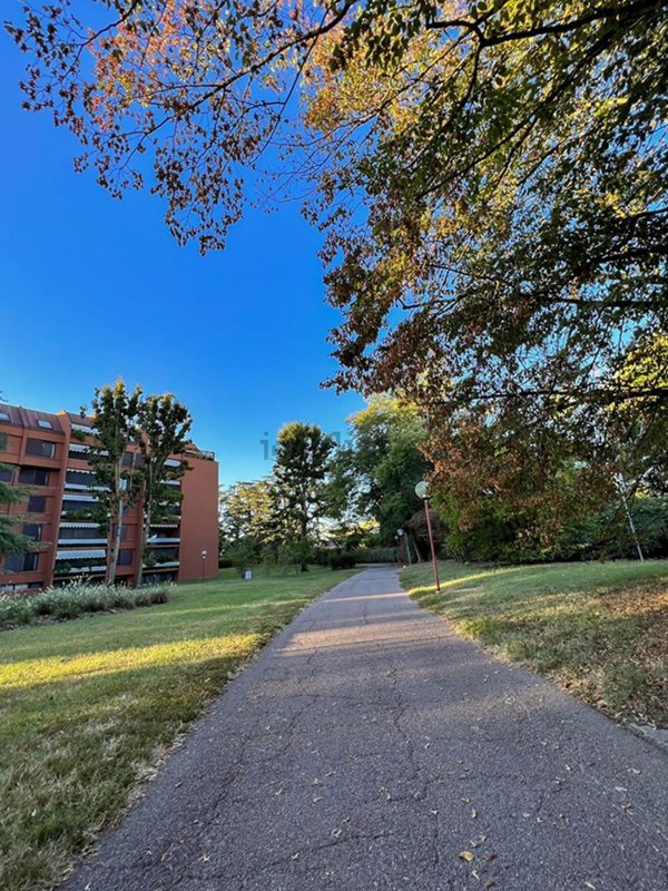 appartamento in vendita a Basiglio