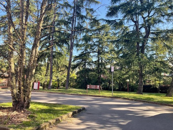 appartamento in vendita a Basiglio