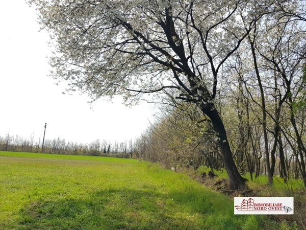 loft in vendita a Bernate Ticino