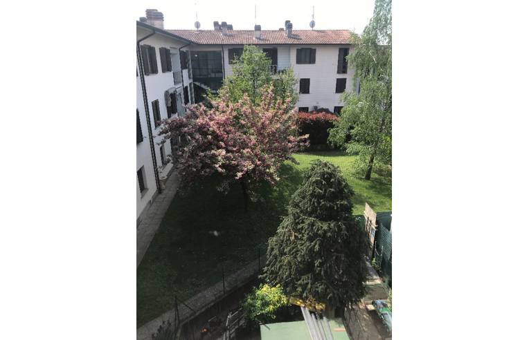 appartamento in vendita a Besate