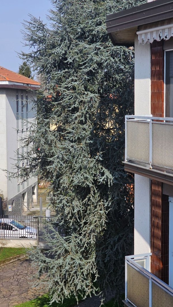appartamento in vendita a Binasco