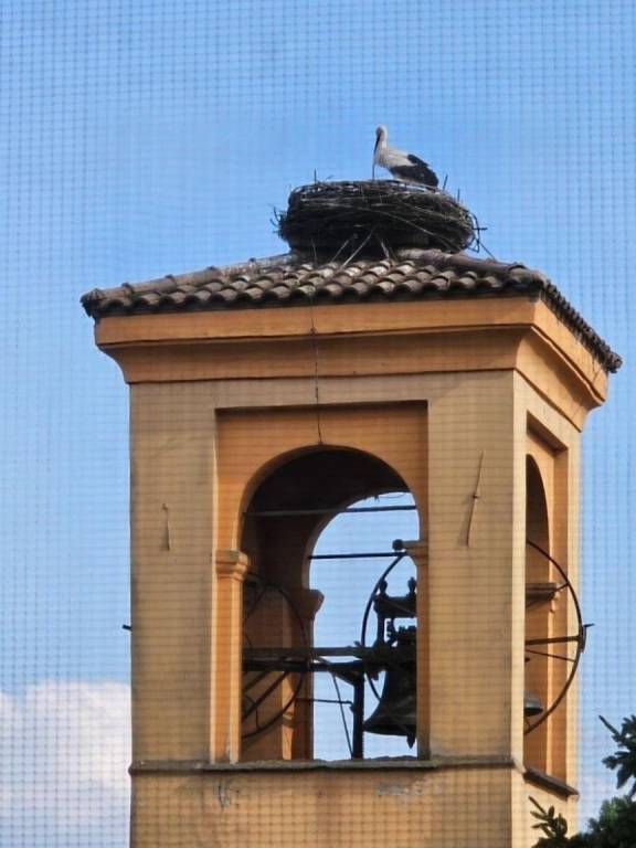 appartamento in vendita a Binasco