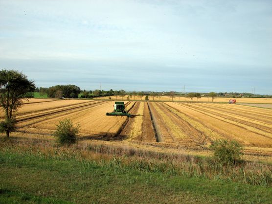 terreno agricolo in vendita a Binasco