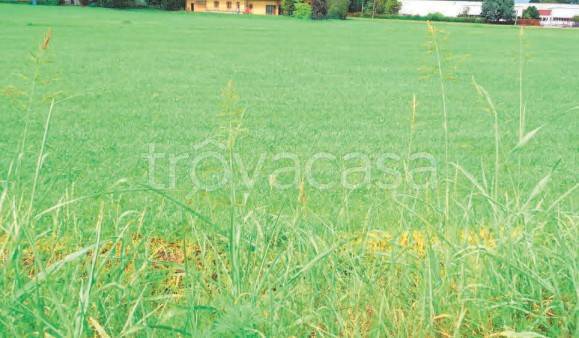 terreno agricolo in vendita a Boffalora sopra Ticino