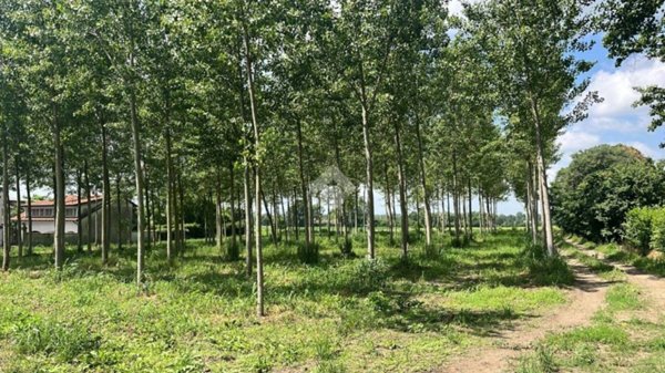 terreno agricolo a Boffalora sopra Ticino in zona Pontenuovo di Boffalora